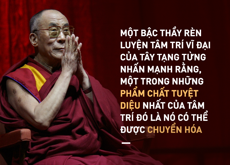 a88aeba555c5072f9121.png