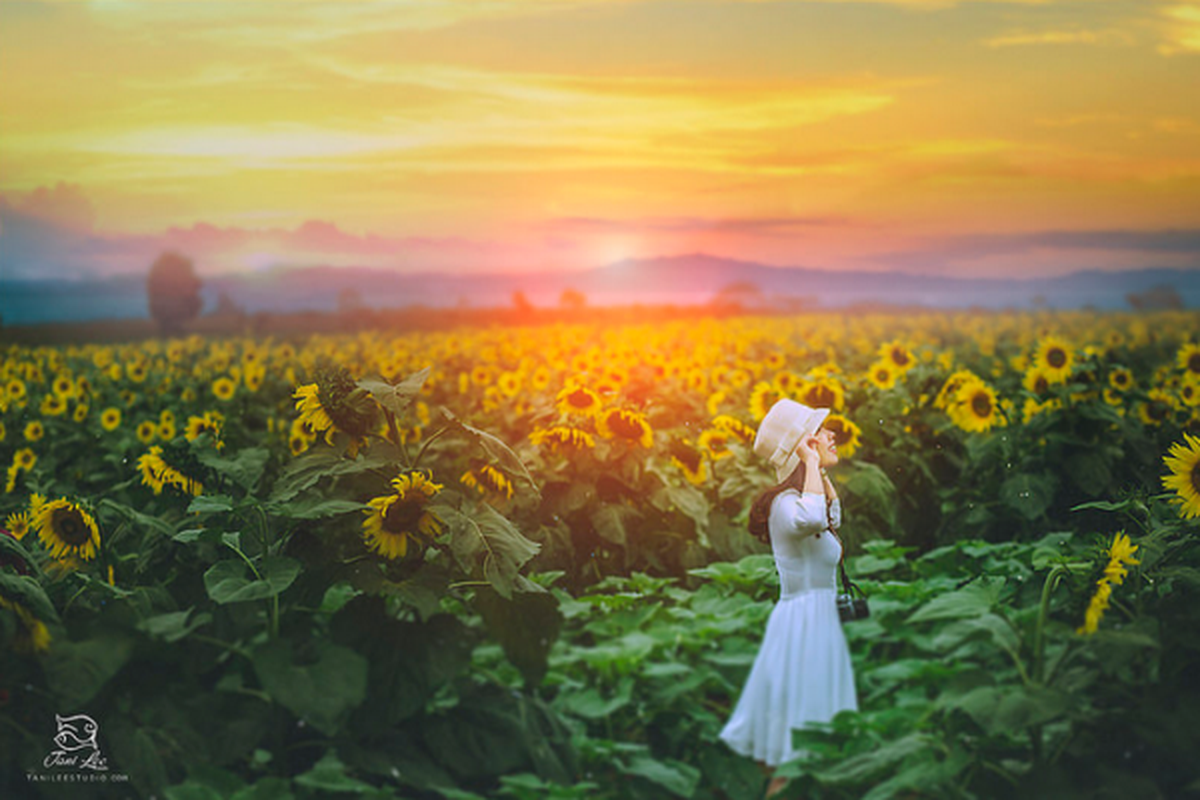 a89a6617ea1a6560563c.png