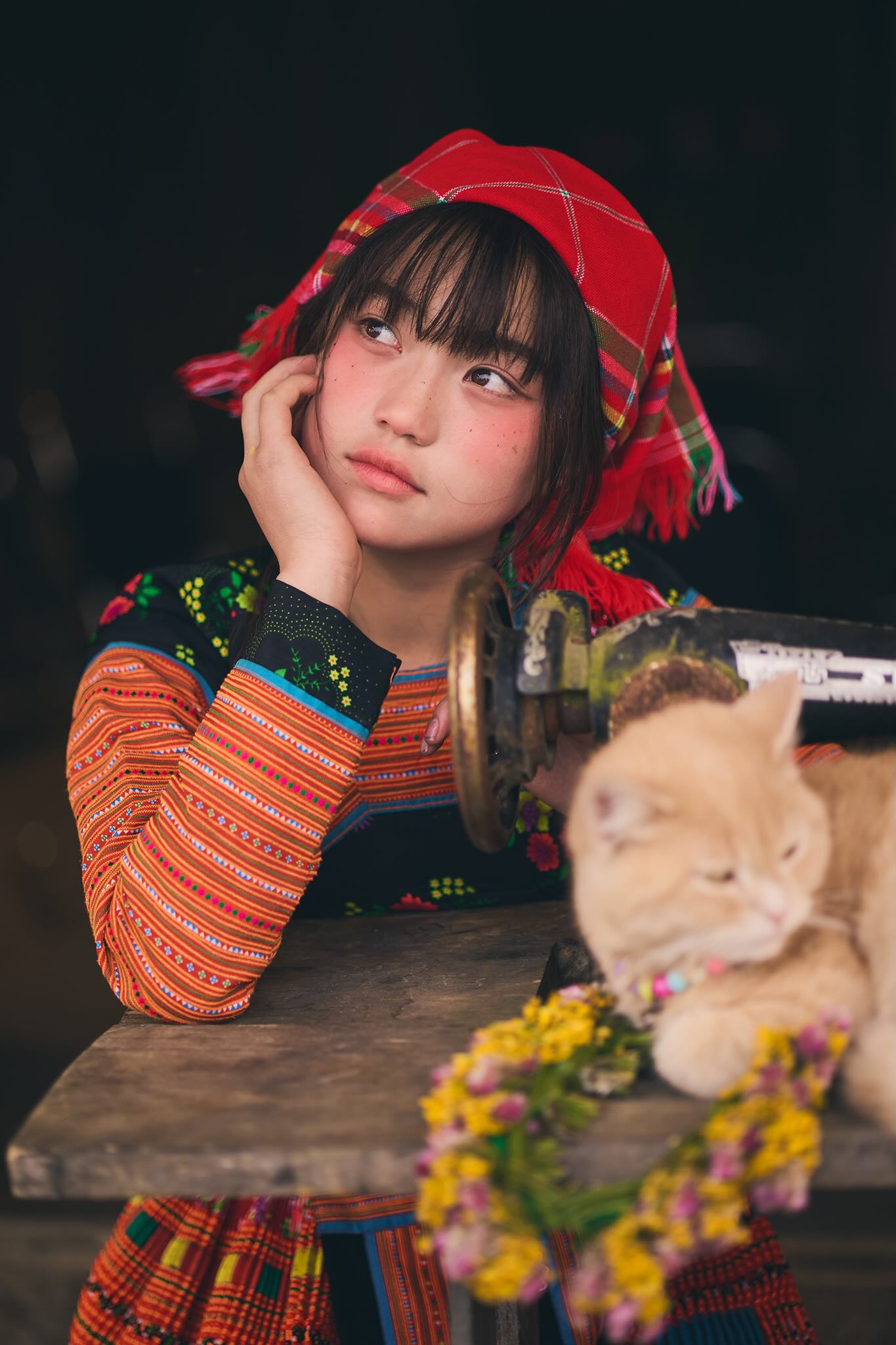 a8bef2c9ed3214c97e61.jpg
