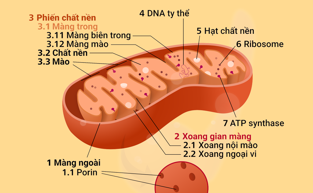 a8c0e233af244239892d.png