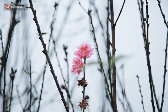 a900639fb72ebb61a7d4.jpg
