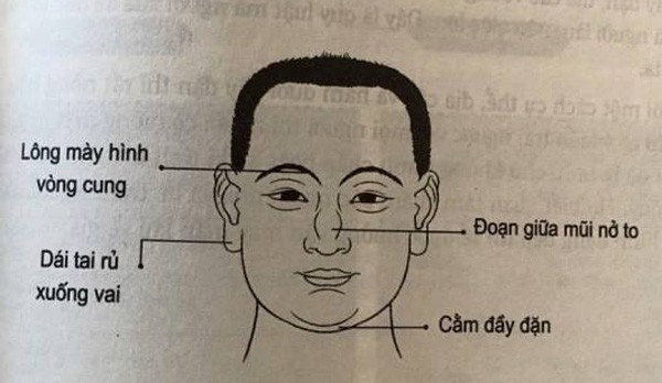 a900a8c058617b5f2b76.jpg