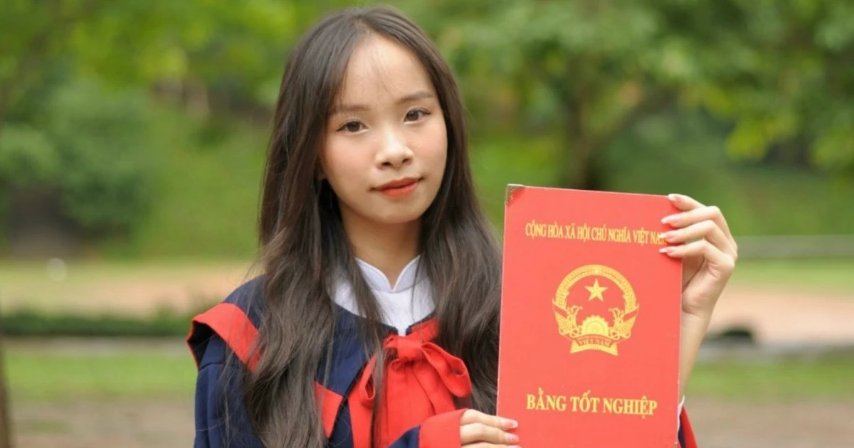 a905fac544aa247e4c1e.webp