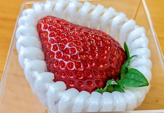 a935c9ee4ee517f5172f.jpg