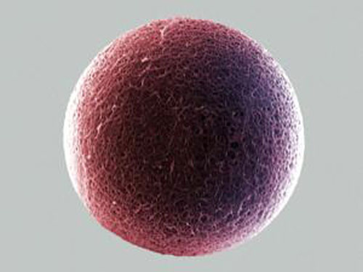 a9542d1b291b8aac5235.jpg