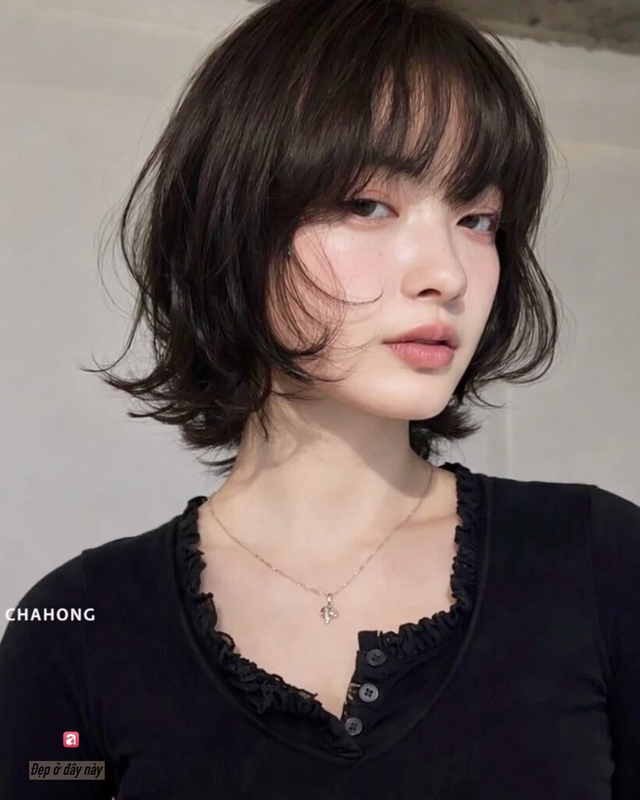 a95daadaf0243dd0daaf.jpg