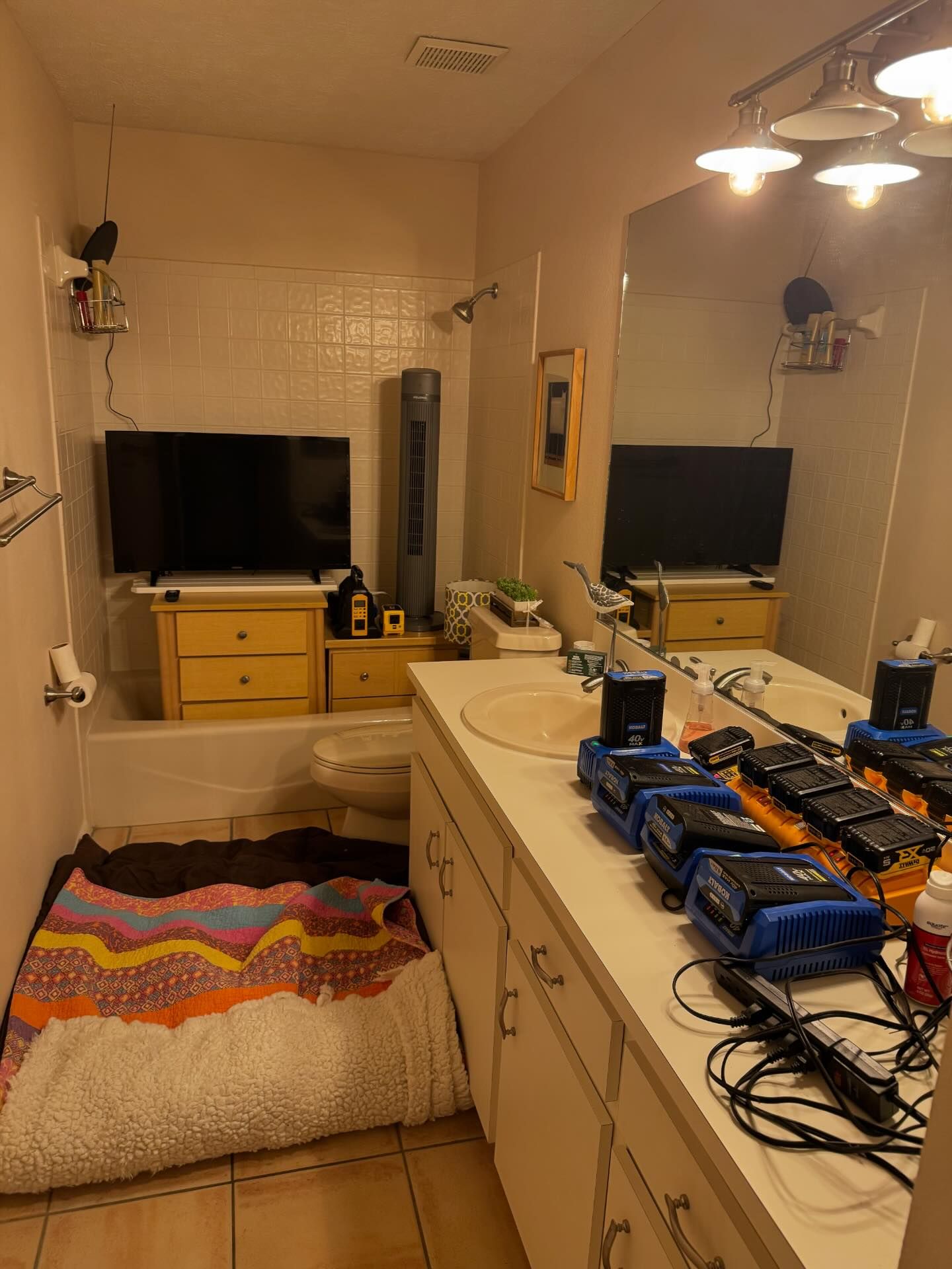 a97cf25362ba9bd0142d.jpg