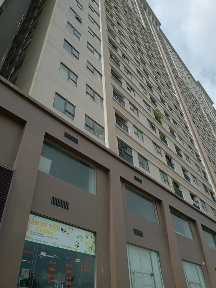 a998c3c55e34ddf981dc.jpg
