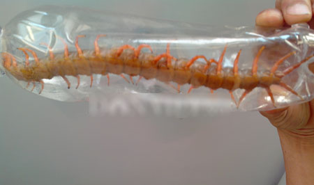 a9b0169abab927fa52e9.jpg