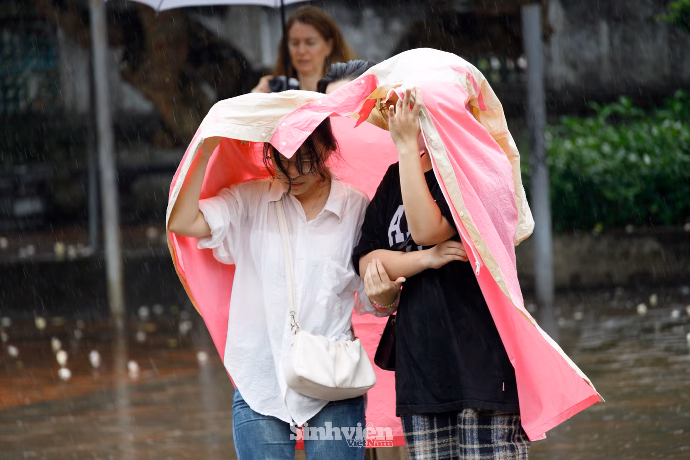 a9d2dfe1aa92b201180e.jpg