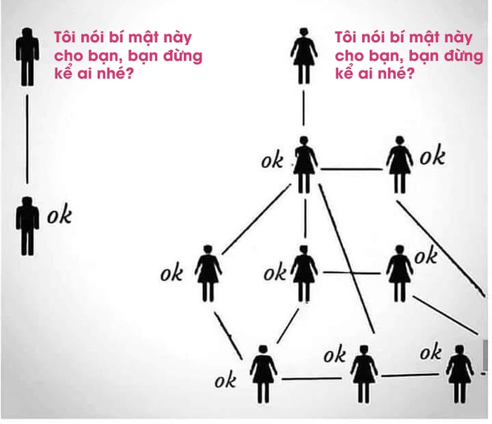 a9f92c82fa3e86df36db.jpg