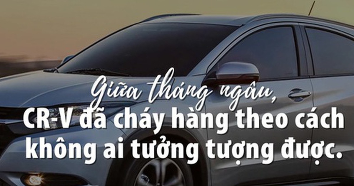 aa0855f5fdb6fb5e40d2.jpg