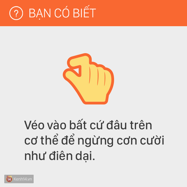 aa1b99e04e20b7913b6b.jpg