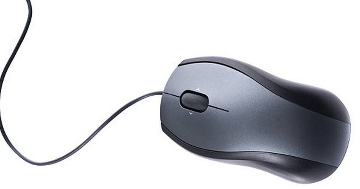 aa3103f7dee5933d1671.jpg