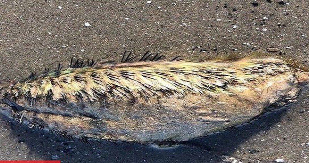 aa5ec16a18756365faf9.jpg