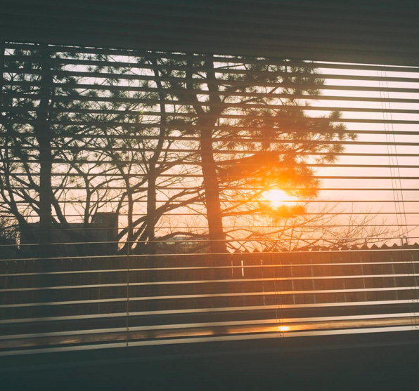 aa61a18c7652a4a4f613.png