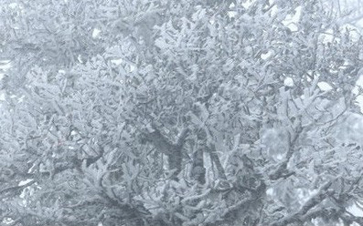 aa6a49a727aecb63d168.jpg