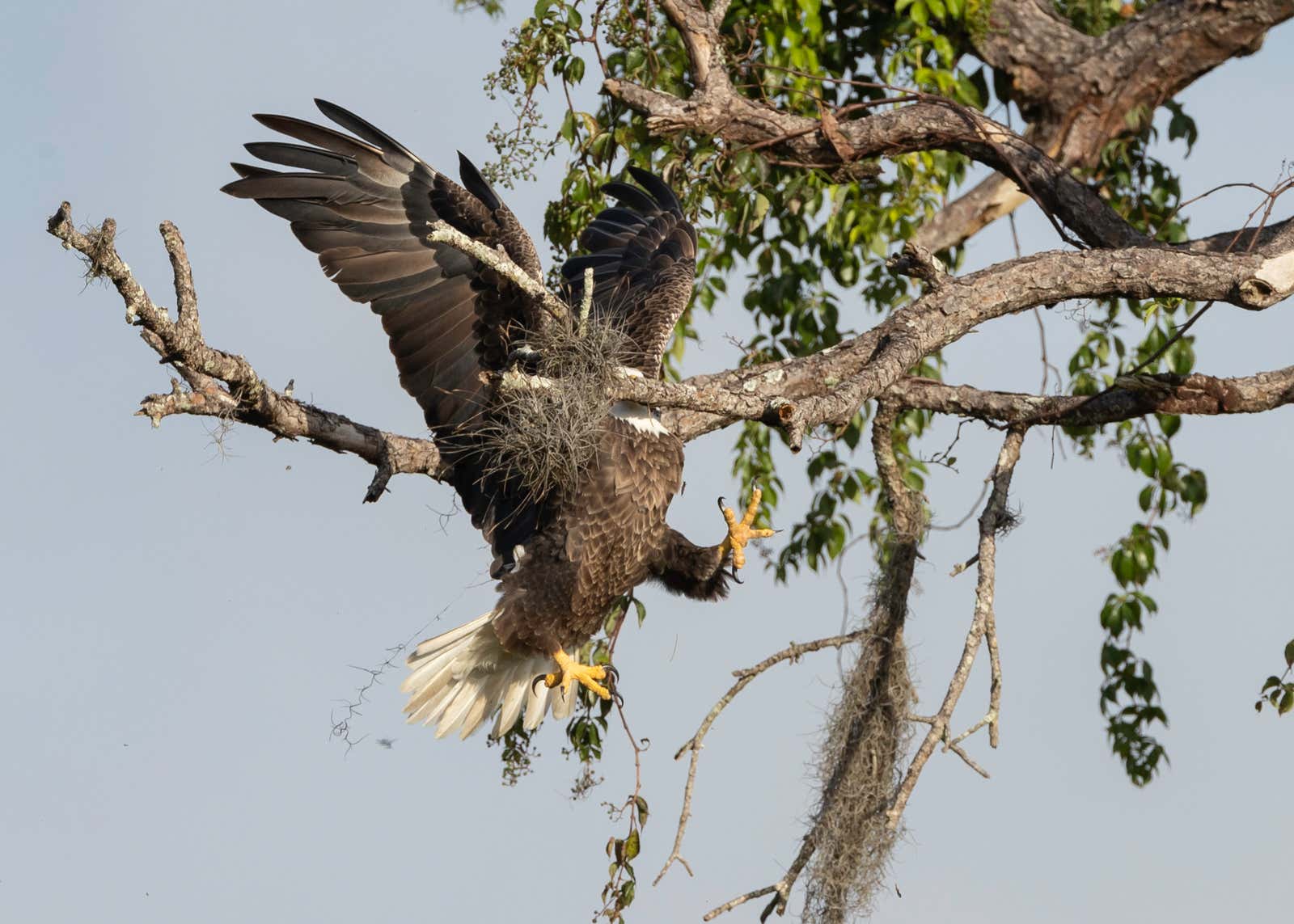aa753e4f6b29d53fc826.jpg