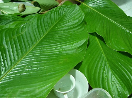 aa780507ab9cafa331f7.jpg