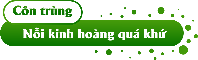 aab223ae74ae48f22129.png