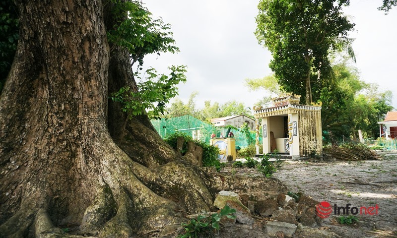 aad35c2aee2ab0420d26.jpg