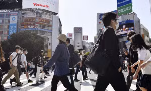 ab029acd18aa6910ab86.jpg