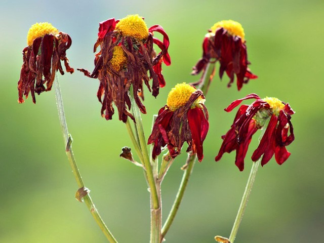ab1833b401510d8febd5.jpg