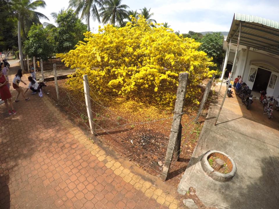 ab229483142aac59b090.jpg