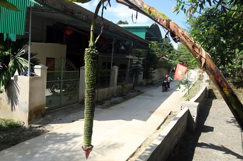 ab324fc32c200829bf0d.jpg