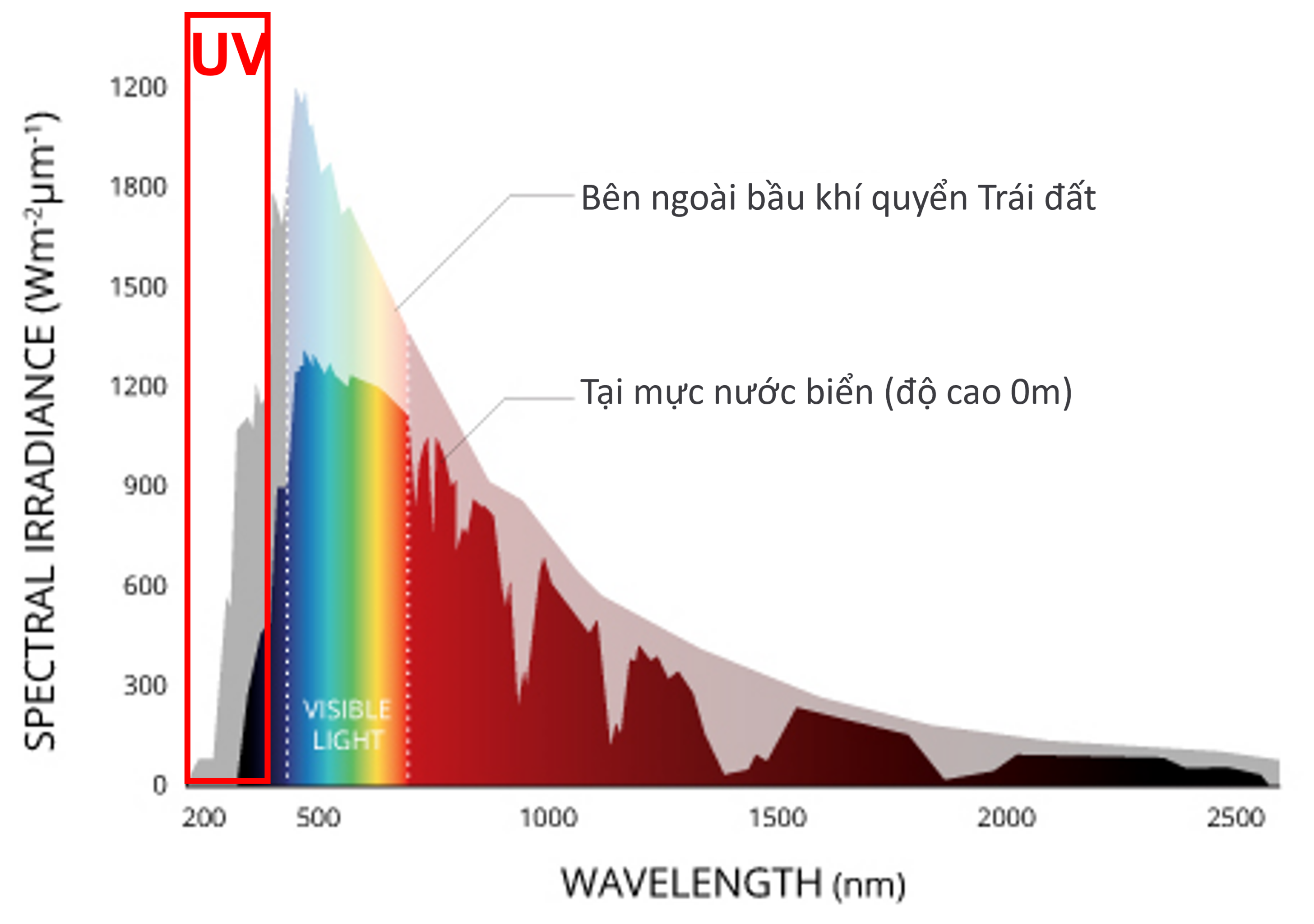 ab43213727d01d25a3f1.png