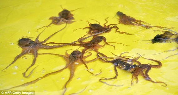 ab447198c1cb890d6fe6.jpg