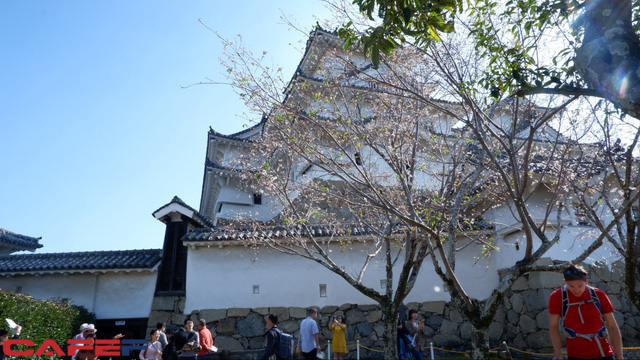 ab62133c11f90337bd96.png