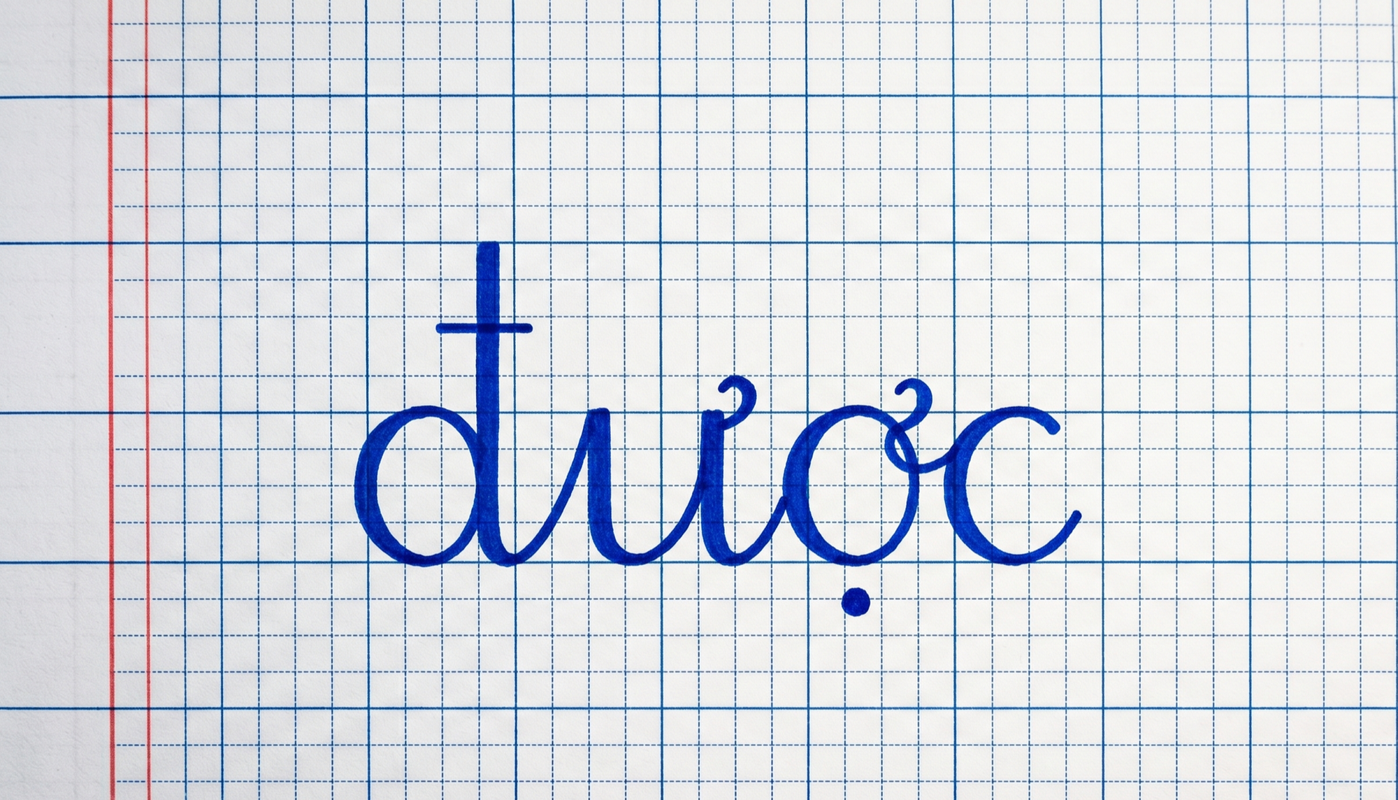 ab6fd65c9e052f29cc16.png