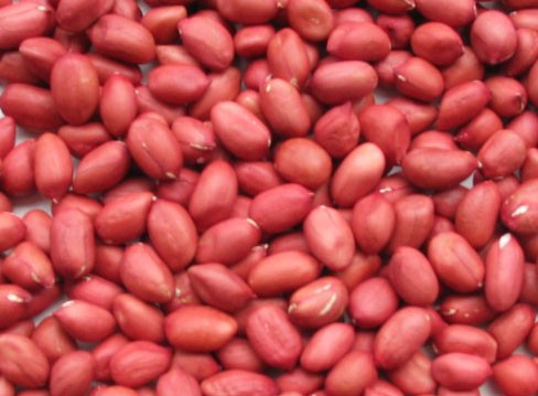 ab896258eb3515232090.jpg