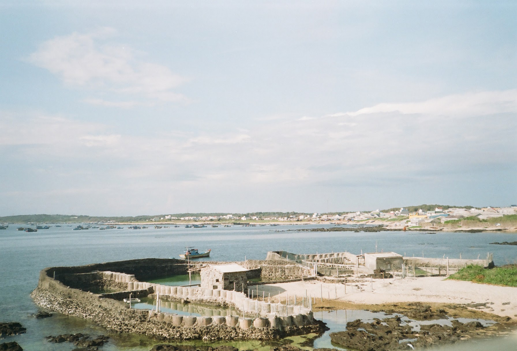 abfae4a7d2967f98a8d1.jpg