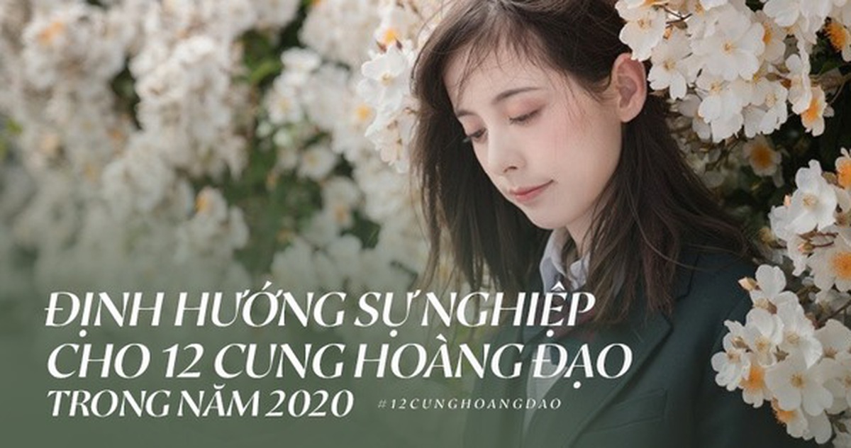 acd19b3ec88e9385f91a.jpg