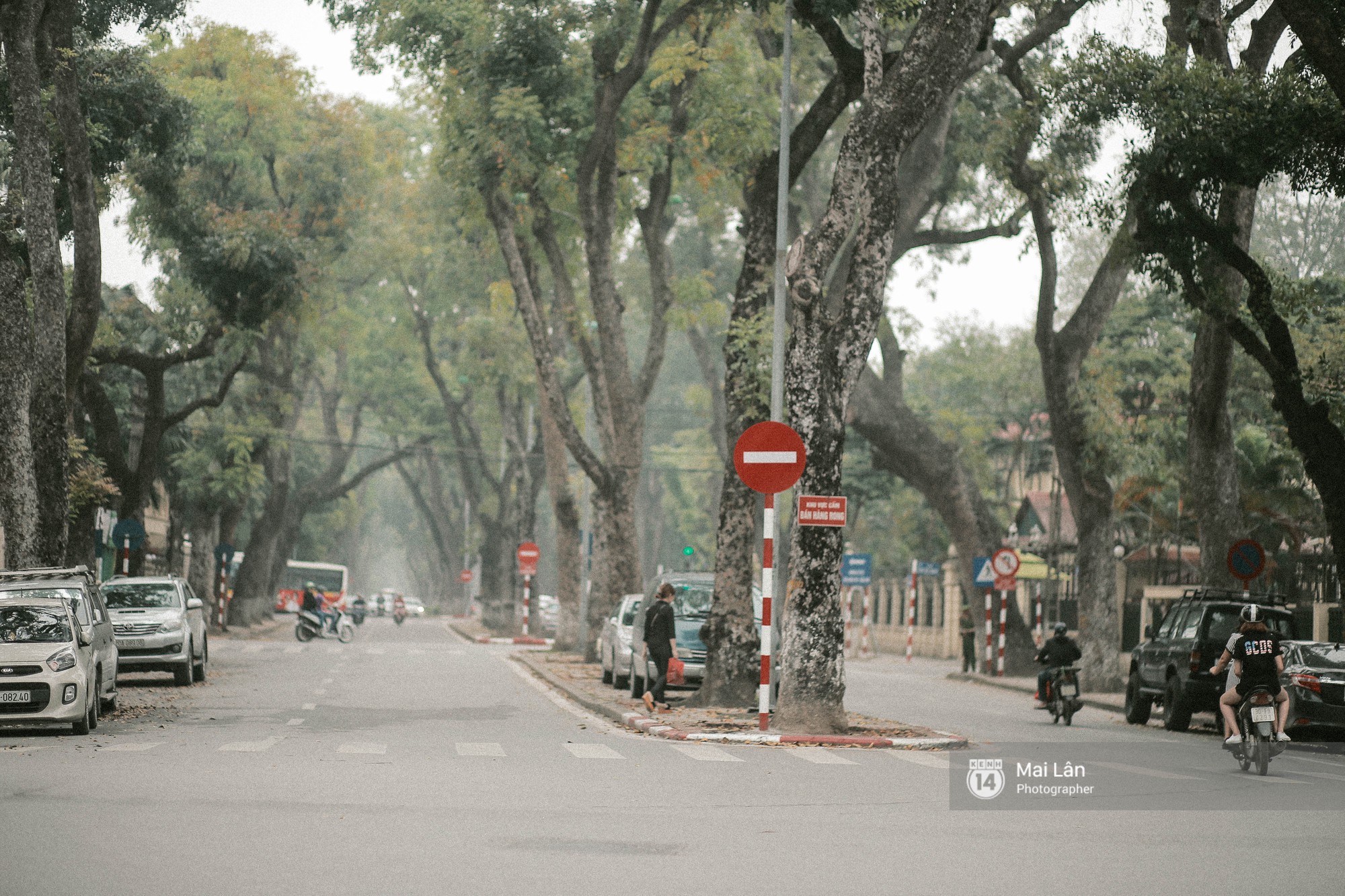 acfb2b147d4cfa6e35dd.jpg