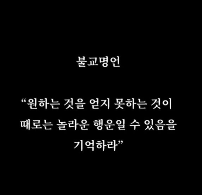 ad06996d818dcd2668cb.jpg