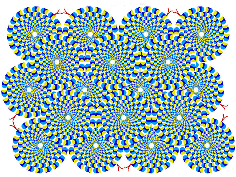 ad5834c4670a1fb19182.jpg