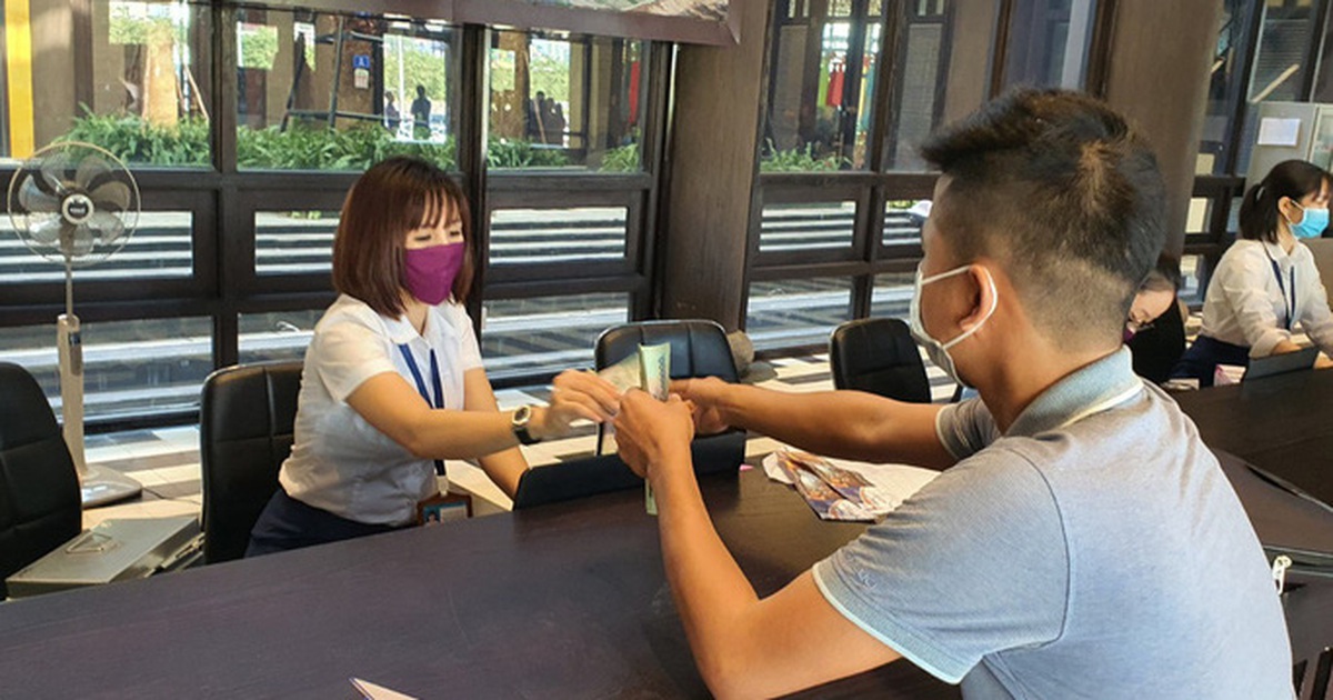 ad7809a46365d14d4005.jpg