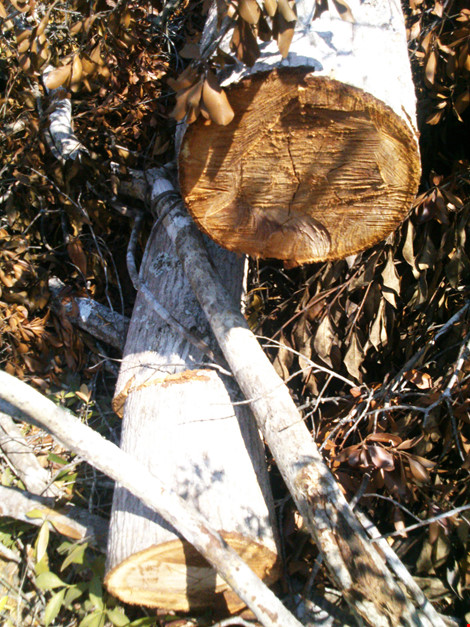adabde1e111f517d9a55.jpg