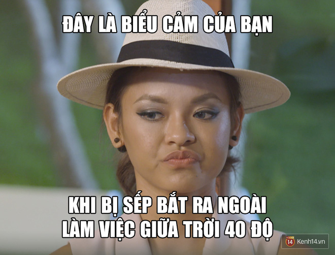 adb85e6be90c723ceb30.jpg