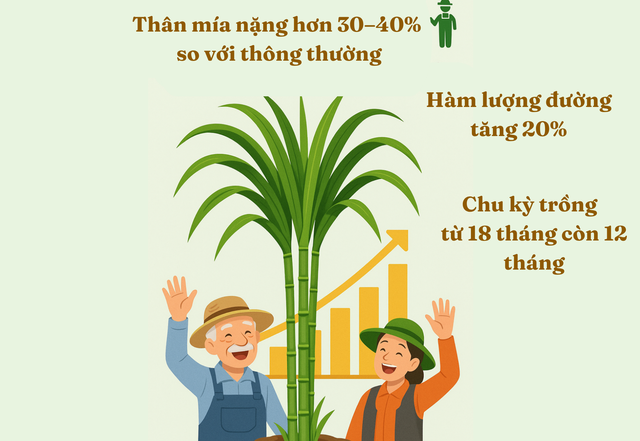 ade1ac35691e72f0fa69.png