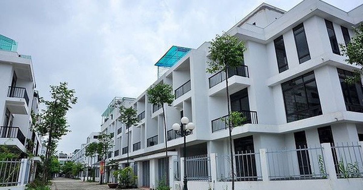 ae4001db73c413335ca5.jpg