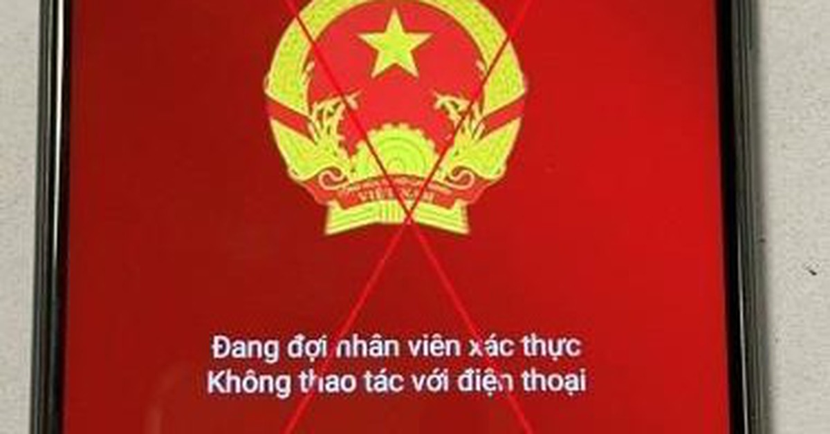ae44e7ea0d7904e73444.jpg