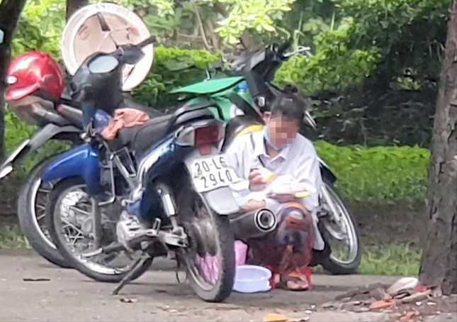 ae6986edd96686d43e7f.jpg