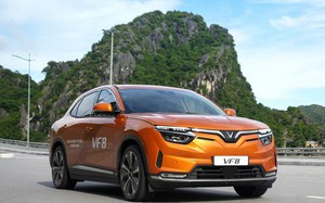 aeb937f296b3b6502fe7.jpg