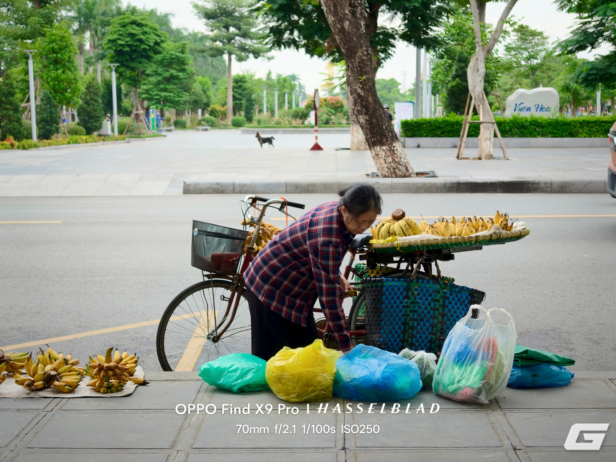 aeee80ac342b9f28be39.jpg