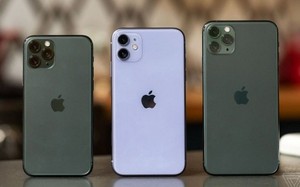 aef3c330485d299b867e.jpg