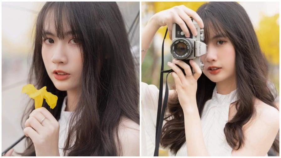 Nữ sinh "đổ gục" trước cơn sốt hoa Phong Linh vàng rực cả góc trời Hà Nội ✨